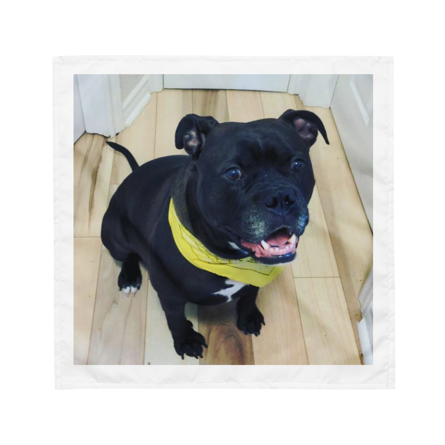 AFC™ Crixus My Dog bandana
