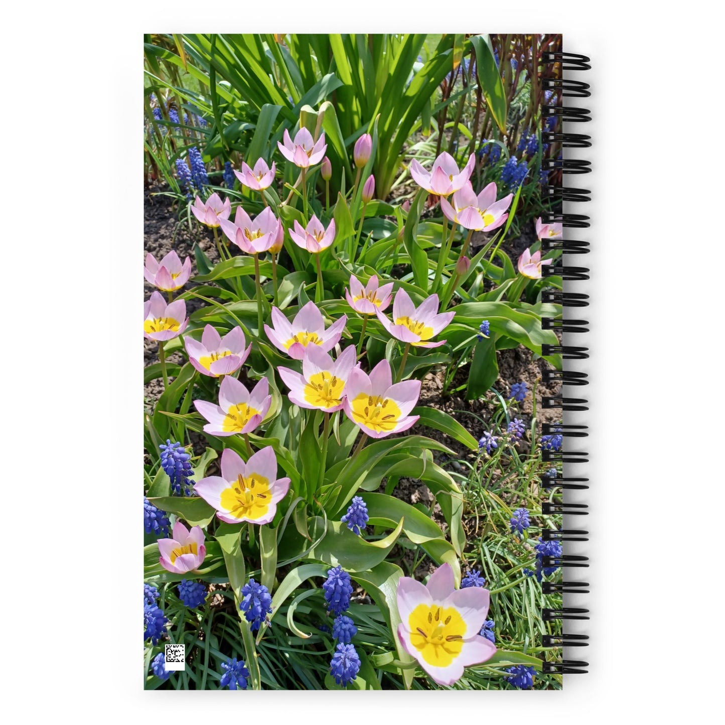 AFC Kidz Art™ Spiral notebook